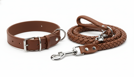 Genuine Leather Dog Collar & Leash Set – Braided Heavy Duty Lead