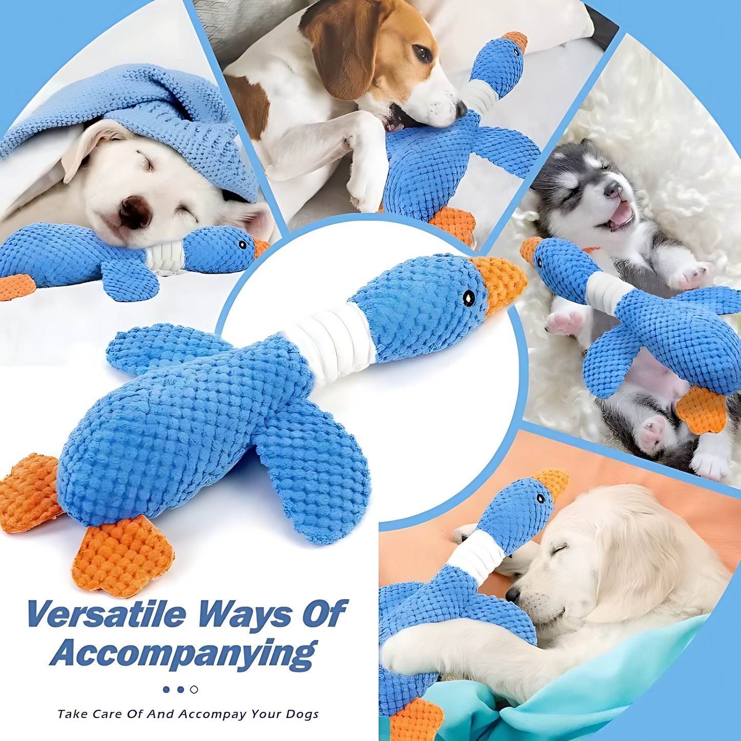 Interactive Squeaky Plush Toy for Dogs & Cats – Durable Chew Toy for Pets