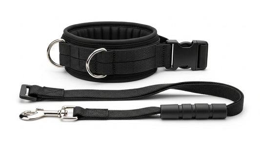 Military Style Tactical Dog Collar & Leash Set – Strong Adjustable Nylon Lead