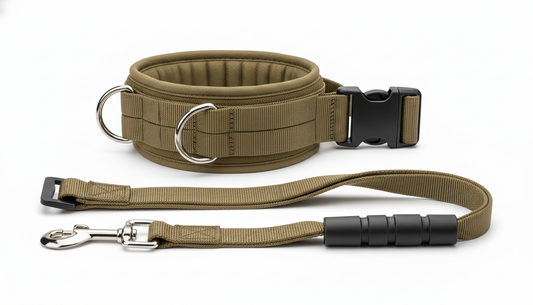 Military Style Tactical Dog Collar & Leash Set – Strong Adjustable Nylon Lead