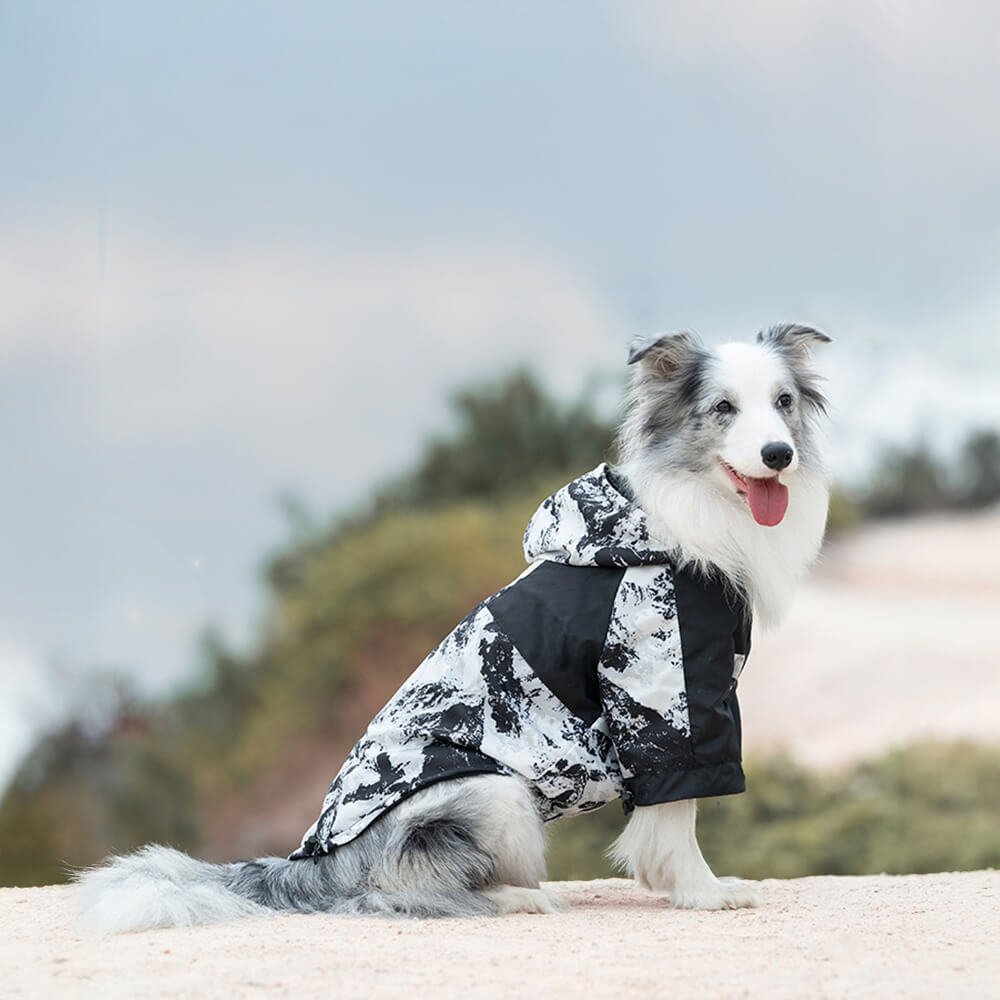 Thick Cotton Printed Dog Jacket - Stylish and warm for outdoor adventures - Image 5