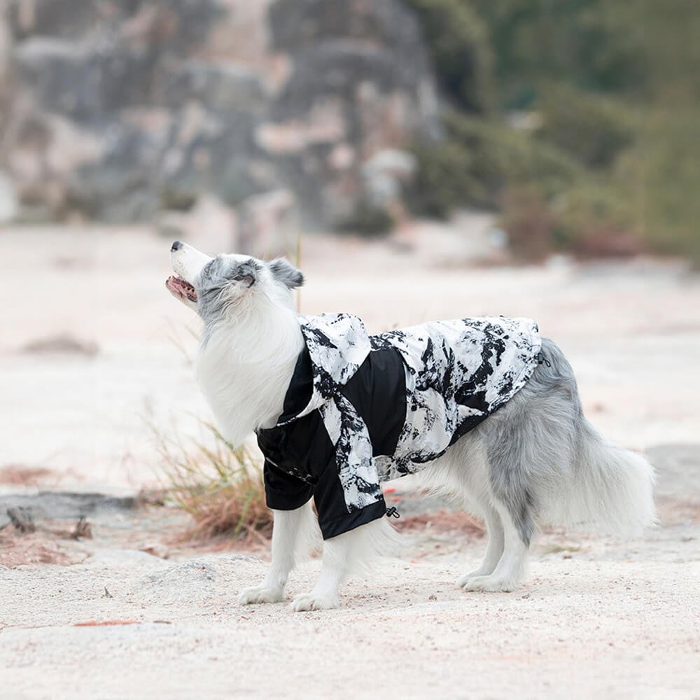 Thick Cotton Printed Dog Jacket - Stylish and warm for outdoor adventures - Image 6