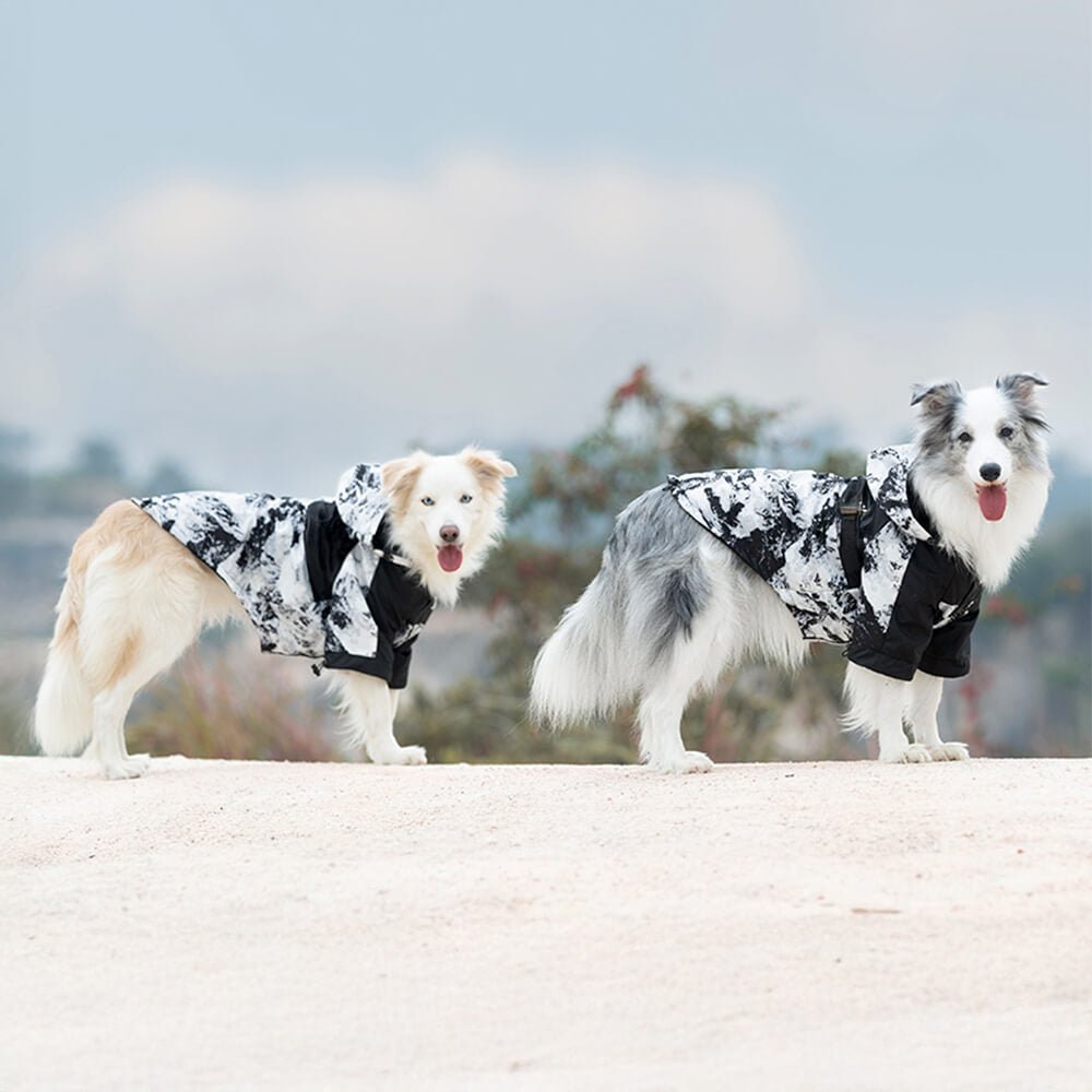 Thick Cotton Printed Dog Jacket - Stylish and warm for outdoor adventures - Image 8