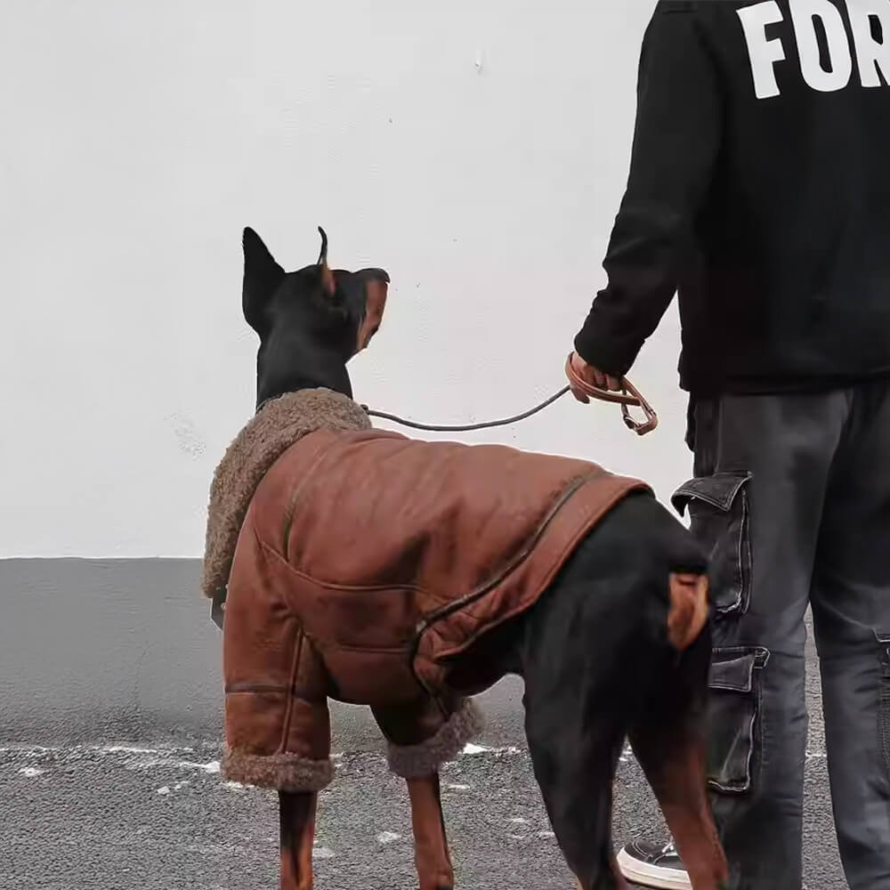 Vintage Aviator Dog Jacket with Shearling Lining - Warm and Stylish - Image 3