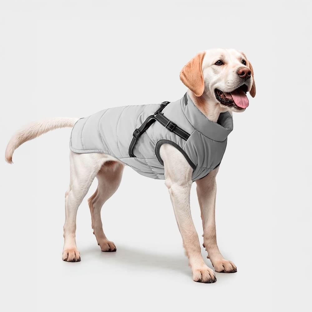 Adjustable Waterproof Warm Outdoor Dog Harness Jacket - Image 9