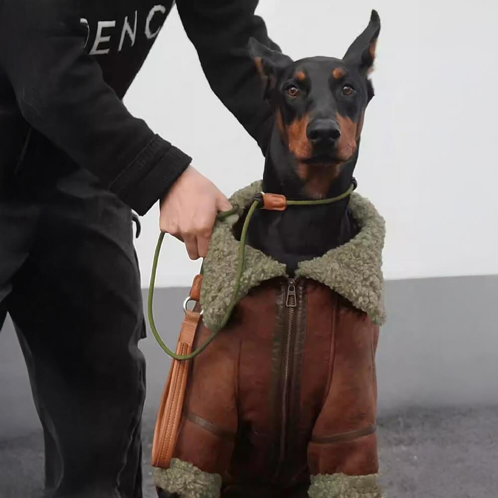 Vintage Aviator Dog Jacket with Shearling Lining - Warm and Stylish - Image 4