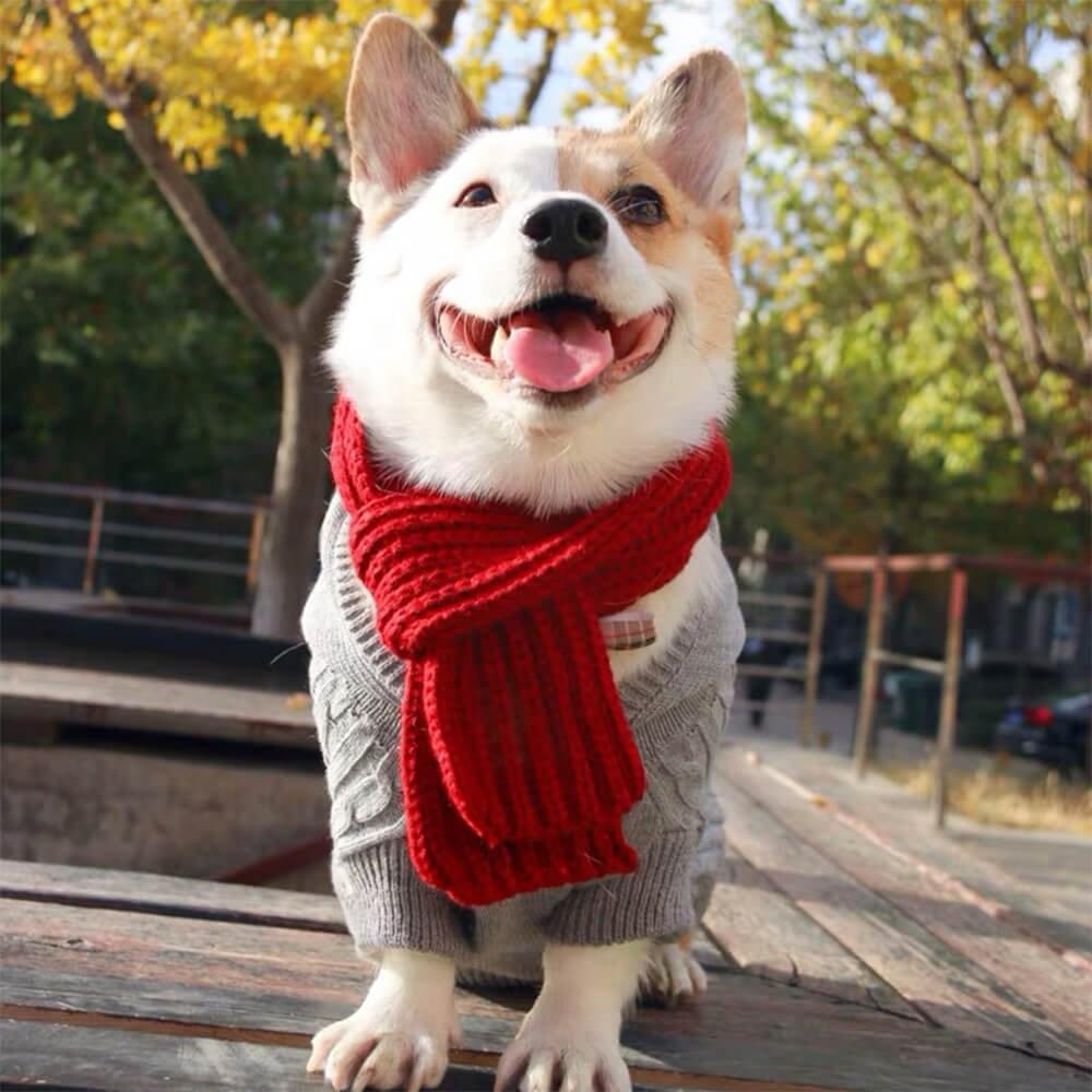 Cozy Knit Soft Warm Adjustable Fit Dog Scarf - Image 2